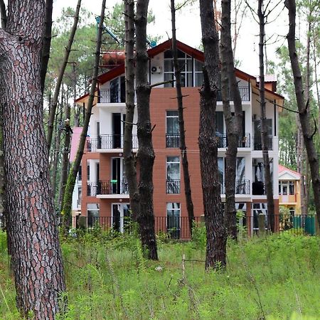 Gina Shekvetili Hotel Buitenkant foto