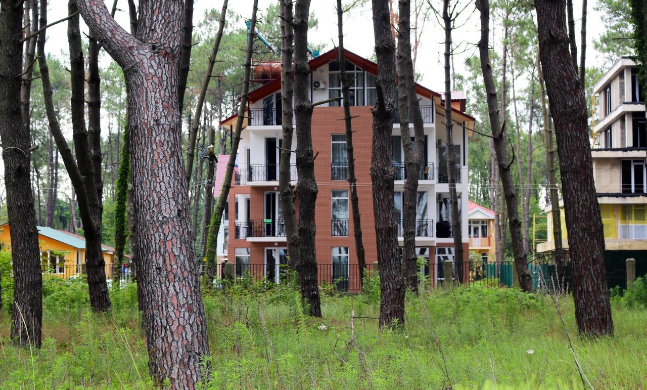 Gina Shekvetili Hotel Buitenkant foto